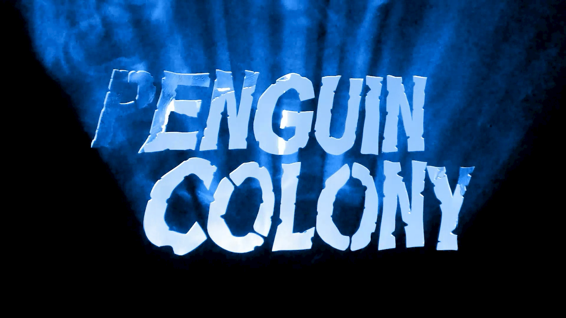 I wanna talk about penguin colony
